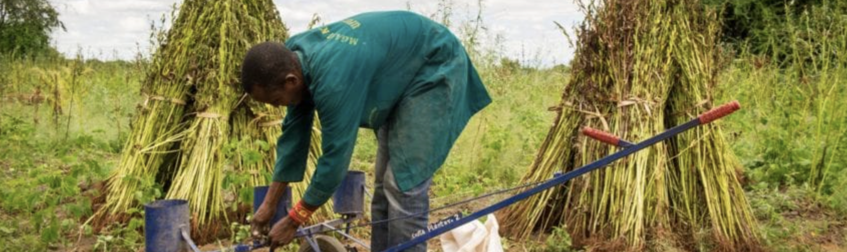 African agrifood trade at a crossroads